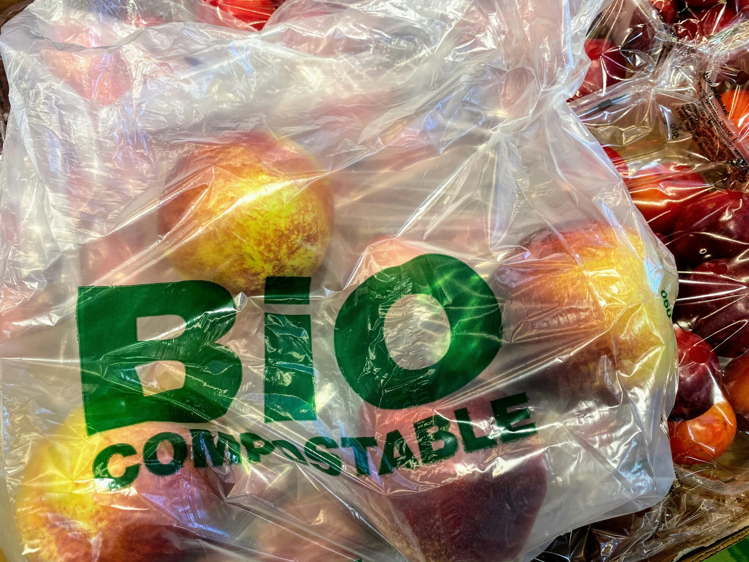 How to test the biodegradability of plastics and polymers